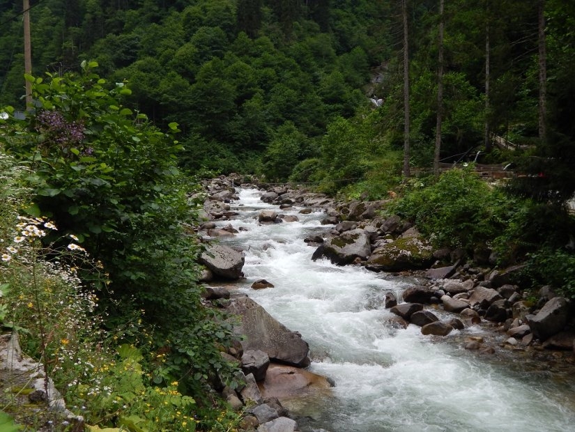 Fırtına-Bach in Rize