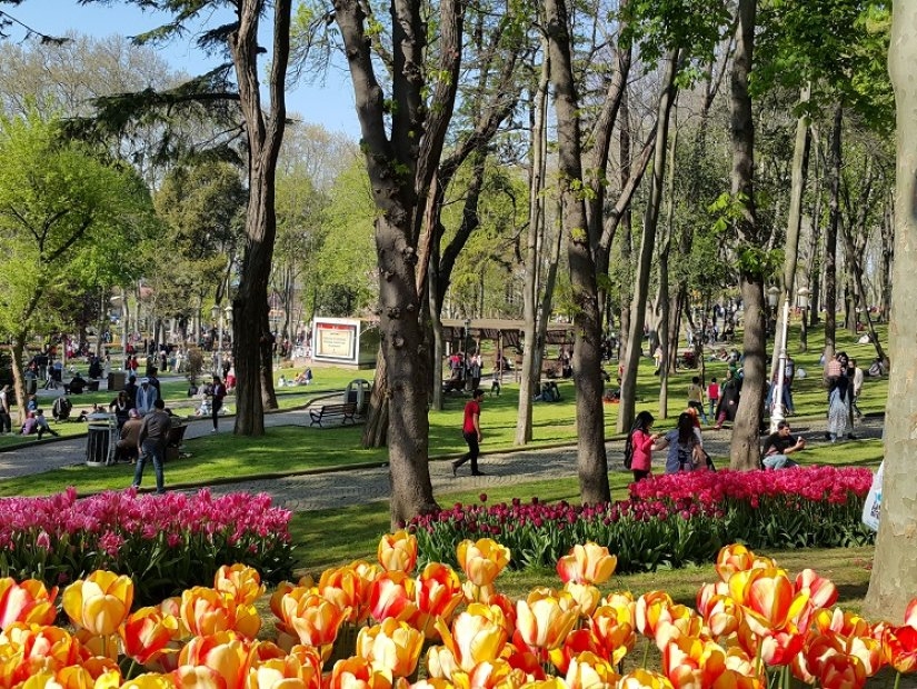 Лучшие парки и сады Стамбула.